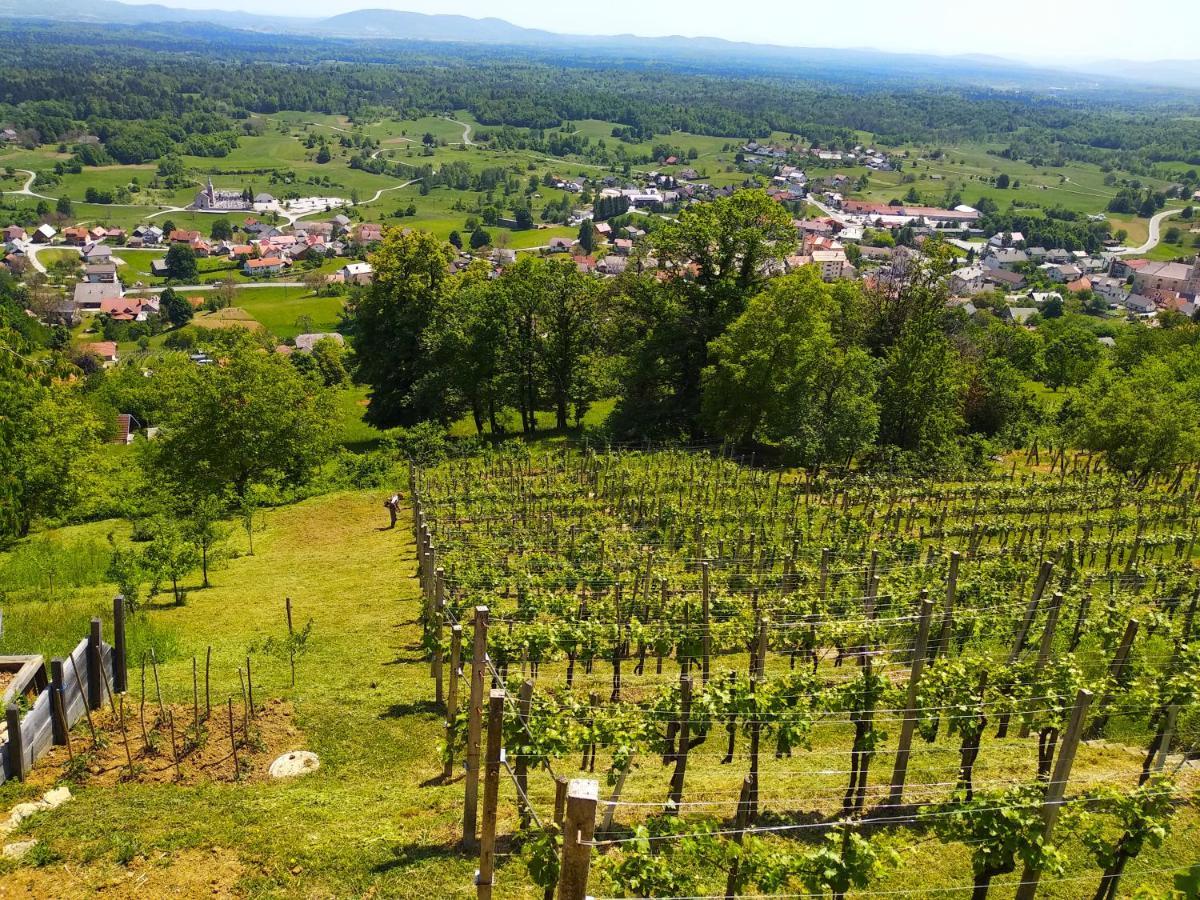 Zidanica-Vineyard Cottage Jakse Semic Экстерьер фото