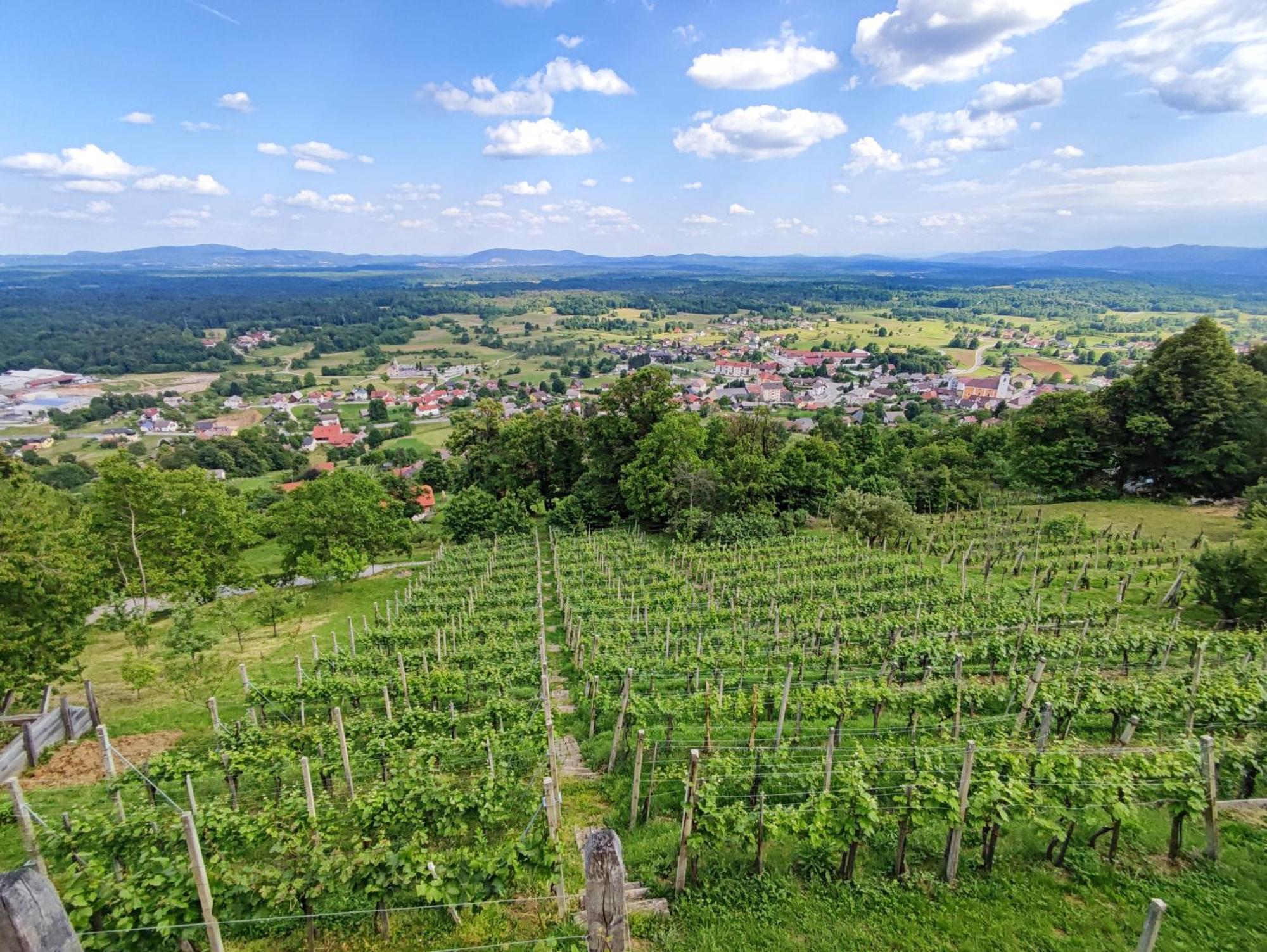 Zidanica-Vineyard Cottage Jakse Semic Экстерьер фото